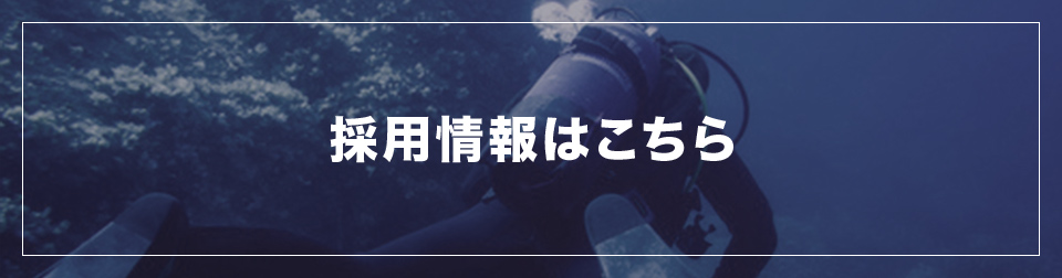 採用情報はこちら