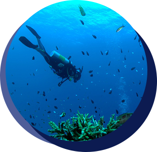 海の作業イメージ