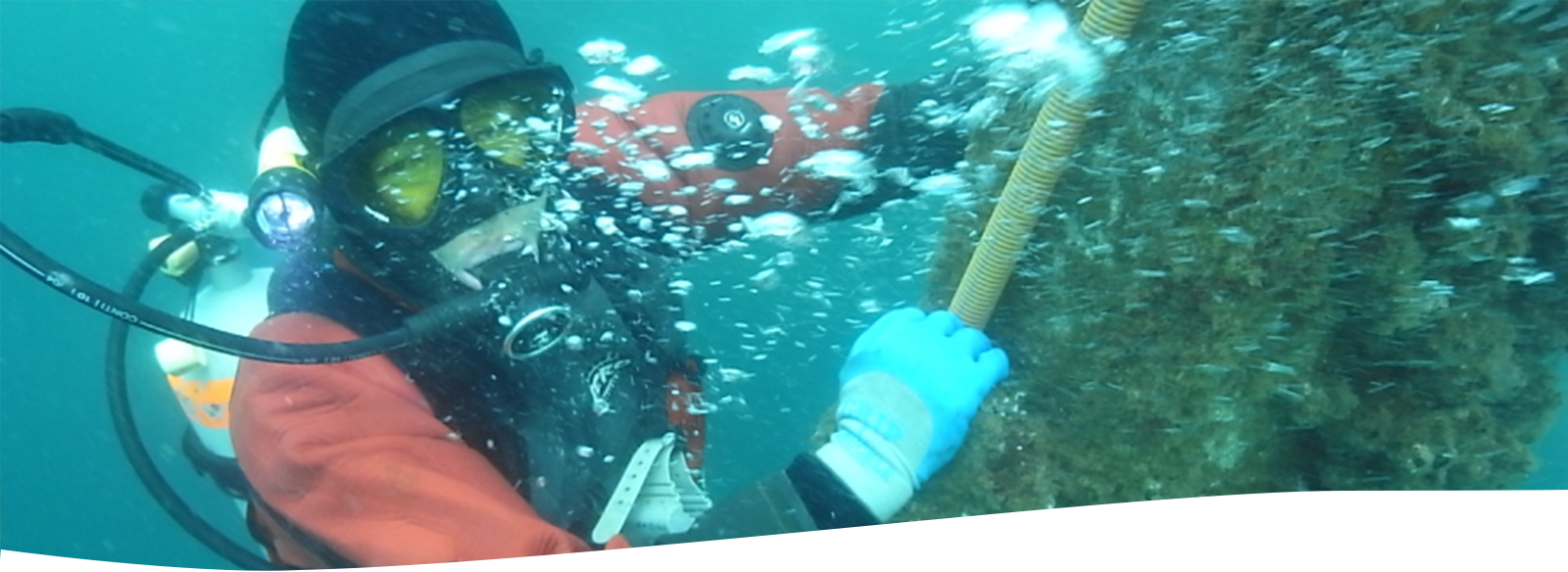 湘南平塚のコーワ潜水株式会社